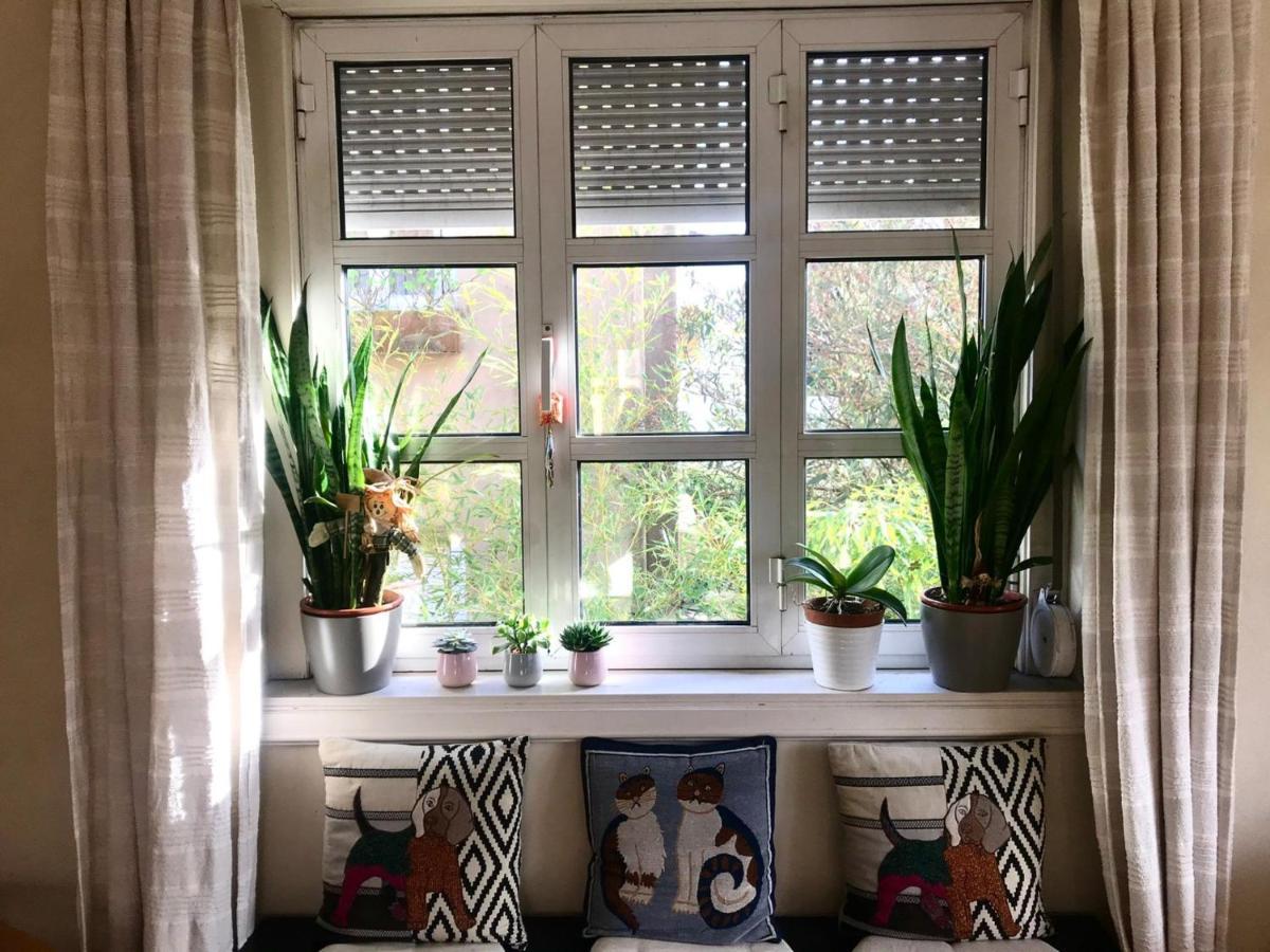Apartament Antas Cozy House Porto Zewnętrze zdjęcie